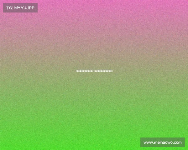 湖人高层支持东契奇参赛 佩林卡亲赴波兰为球队加油