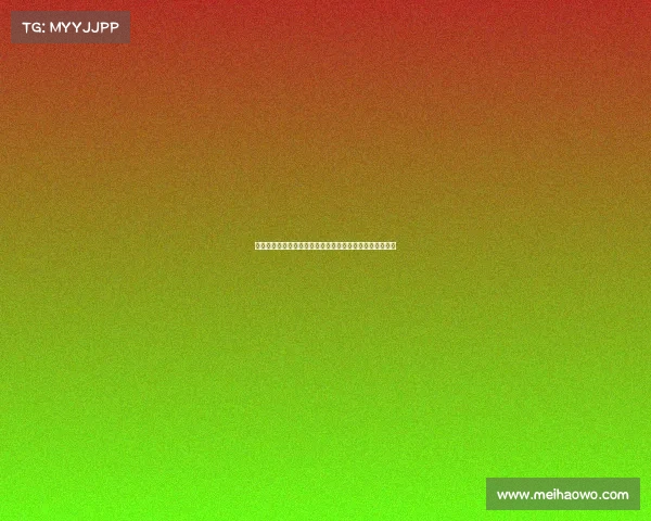 法国队勇夺世界航空运动锦标赛特技飞行团体冠军再创辉煌