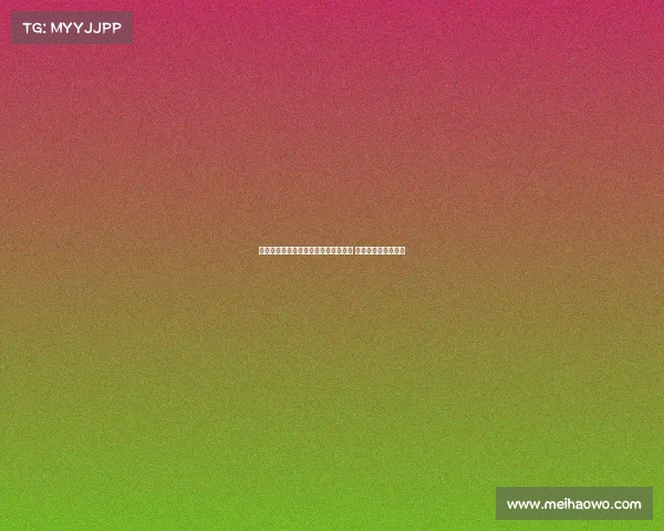 芝加哥熊队首战迎战明尼苏达维京人队 聚焦新赛季开局对决